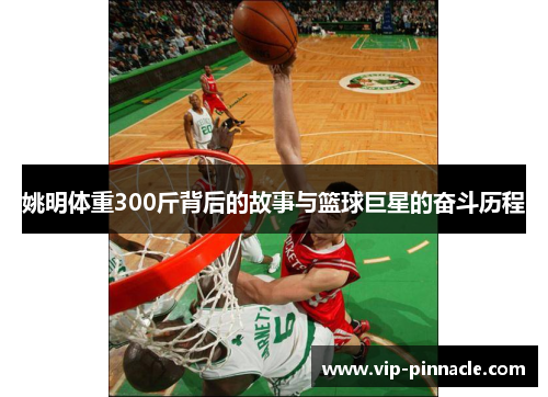 姚明体重300斤背后的故事与篮球巨星的奋斗历程